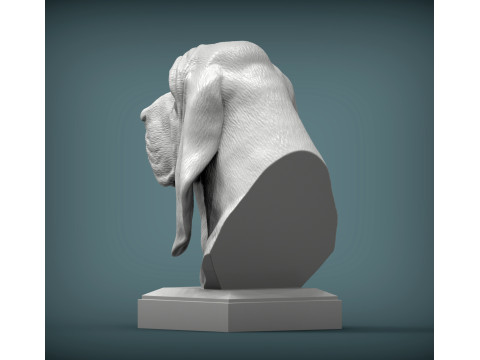 BLOODHOUND Model do druku 3D
