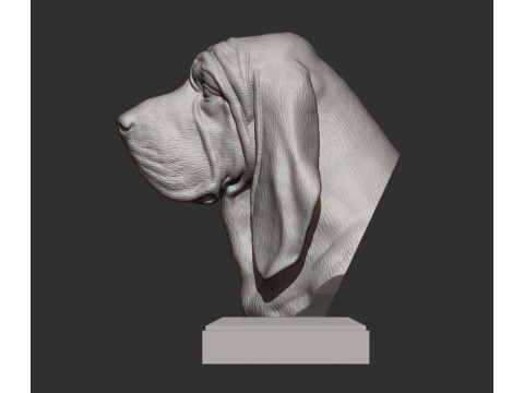 BLOODHOUND Model do druku 3D