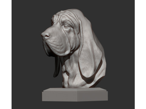 BLOODHOUND Model do druku 3D