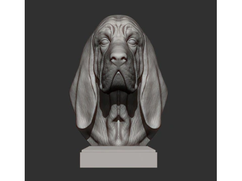 BLOODHOUND 3D Print Model