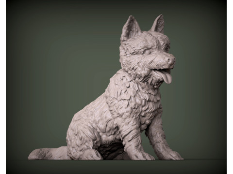 Cairn terrier Modelo de Impressão 3D