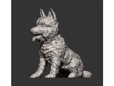 Cairn terrier 3D Print Model