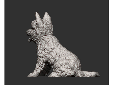 Cairn terrier Modelo de Impressão 3D
