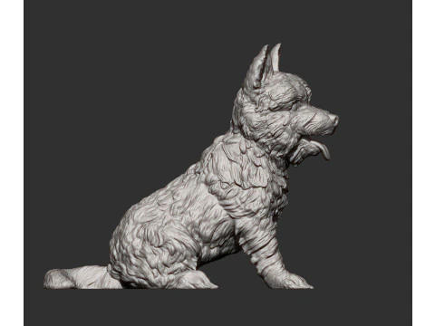 Cairn terrier 3D Print Model