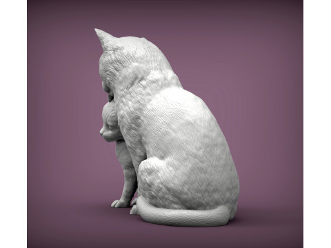 Cat with kitten Modèles 3D en vedette