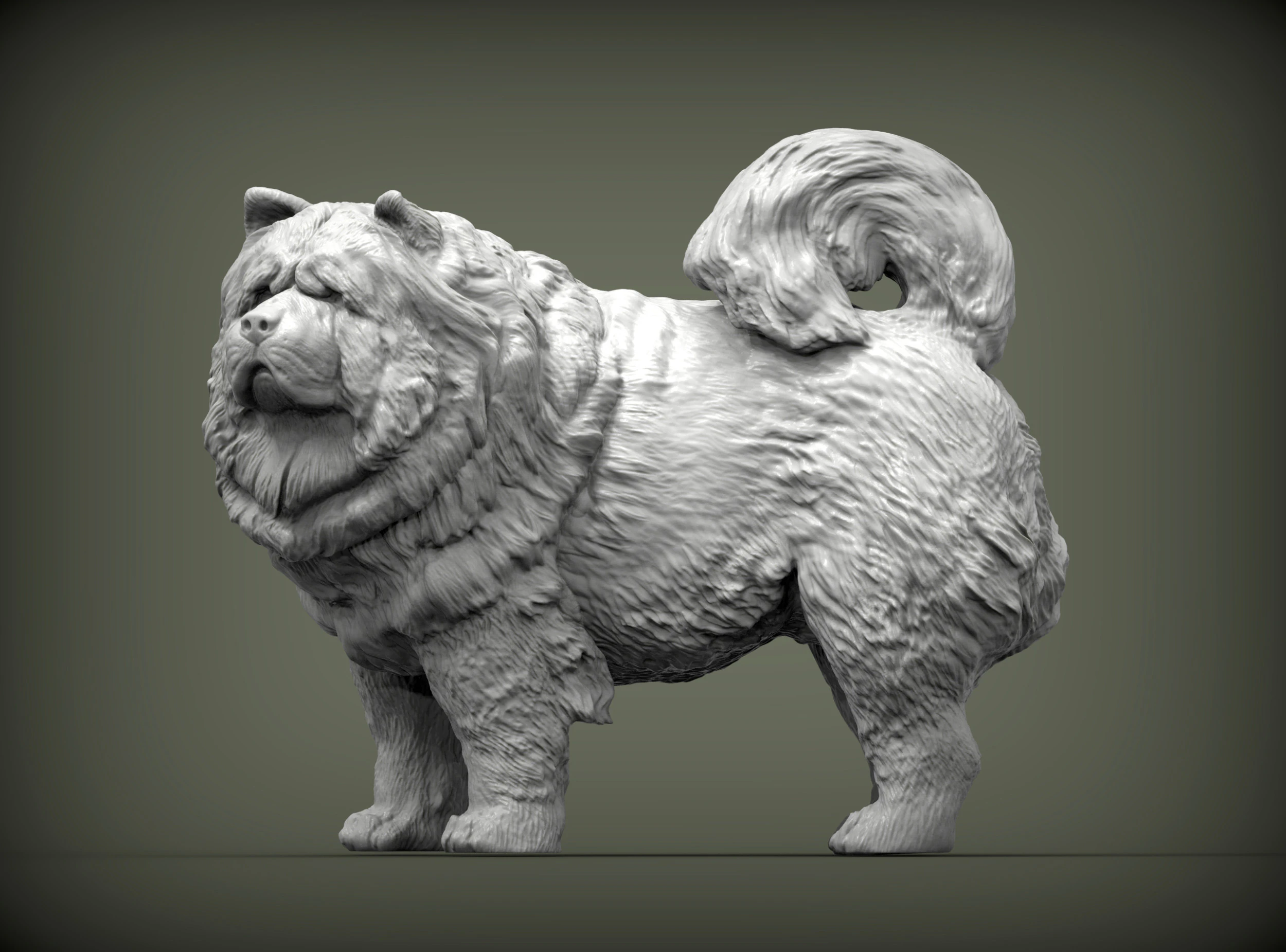 Chow Chow 3D Print Model .c4d .max .obj .3ds .fbx .stl .blend 