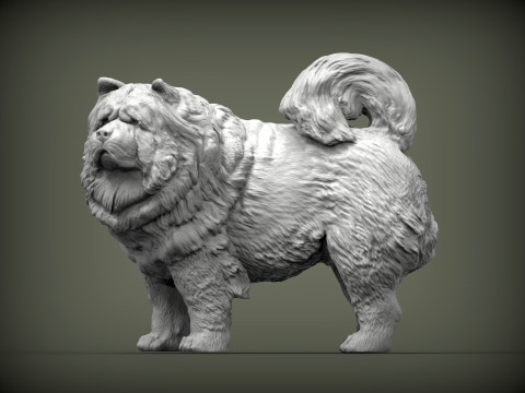 Chow Chow Modelo de Impressão 3D