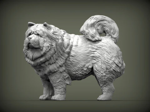 チャウチャウ 3Dプリントモデル