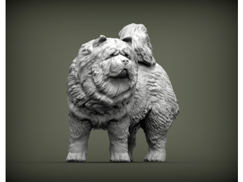 Chow Chow Modelo de Impressão 3D
