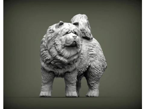 Chow Chow 3D Print Model