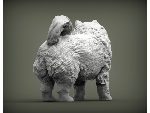 Chow Chow Modelo de Impressão 3D