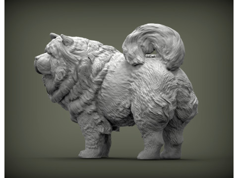 Chow Chow Modelo de Impressão 3D