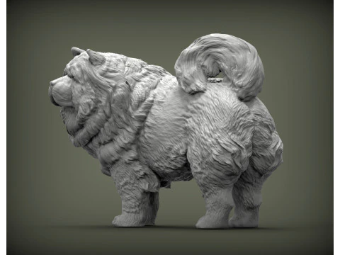 Chow Chow 3D Print Model