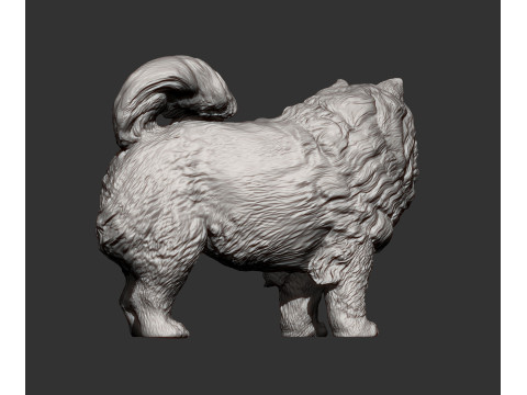 Chow Chow Modelo de Impressão 3D