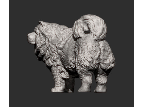 Chow Chow Modelo de Impressão 3D