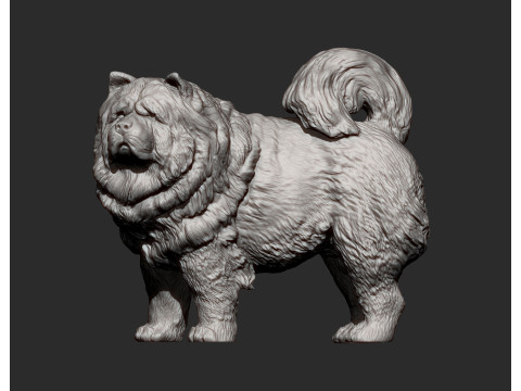 Chow Chow Modelo de Impressão 3D