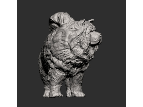 Chow Chow Modelo de Impressão 3D