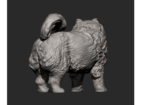 Chow Chow Modelo de Impressão 3D