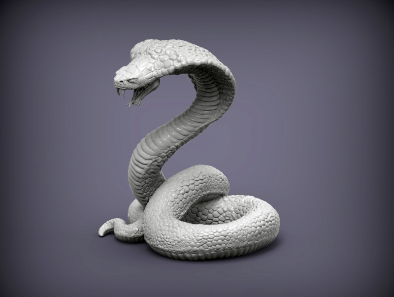 Cobra 3D प्रिंट मॉडल .c4d .max .obj .3ds .fbx .stl .blend