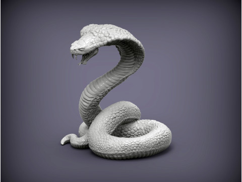 Cobra 3D Baskı Modeli