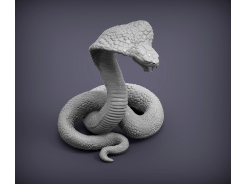 Cobra 3D प्रिंट मॉडल