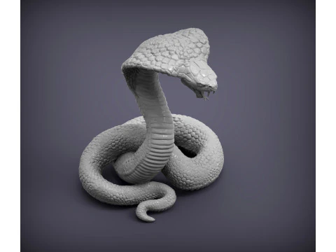 Cobra Modello di stampa 3D
