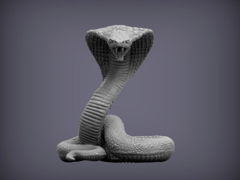 Cobra 3D प्रिंट मॉडल