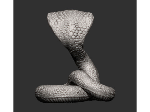 Cobra 3D प्रिंट मॉडल
