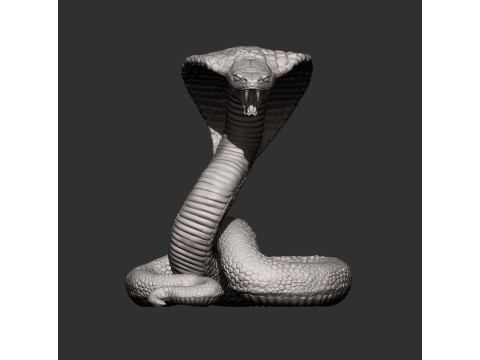 Cobra 3D प्रिंट मॉडल