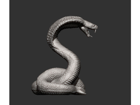 Cobra 3D प्रिंट मॉडल