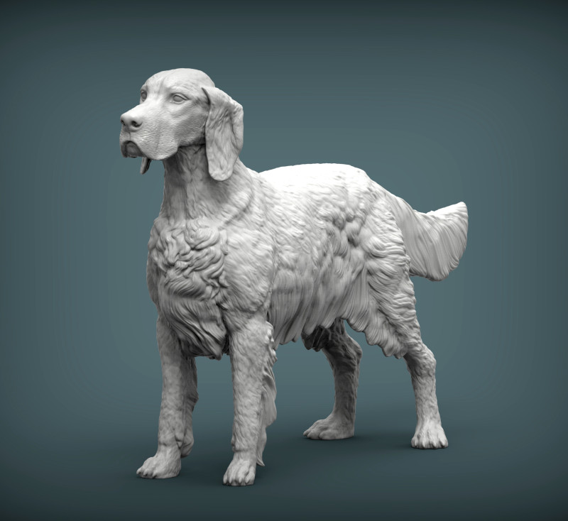 English Setter 3D-Druckmodell .c4d .max .obj .3ds .fbx .stl .blend 