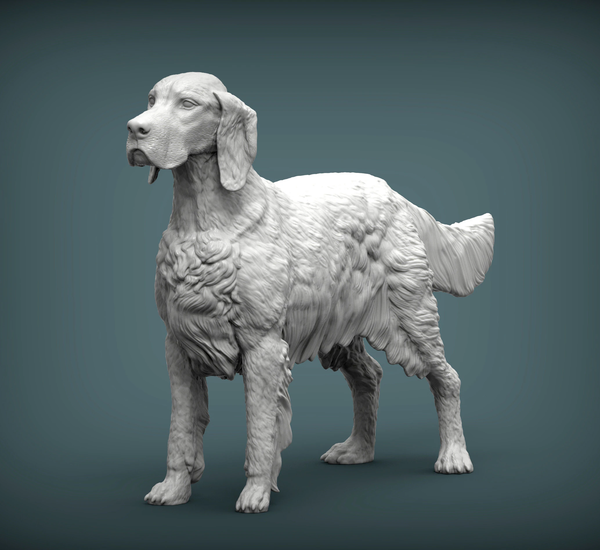 English Setter 3D Print Model .c4d .max .obj .3ds .fbx .stl .blend 