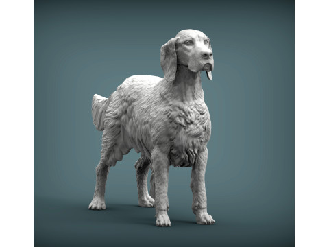 English Setter 3D-Druckmodell