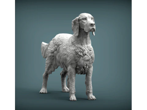 English Setter 3D Print Model
