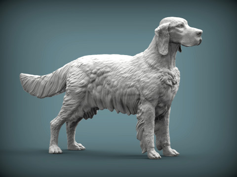 English Setter 3D-Druckmodell
