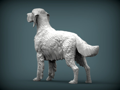 English Setter 3D-Druckmodell