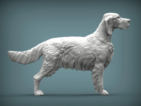 English Setter 3D Print Model