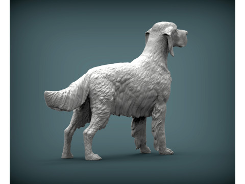 English Setter 3D-Druckmodell