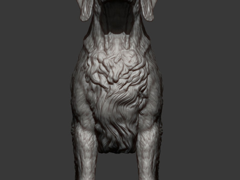 English Setter 3D-Druckmodell