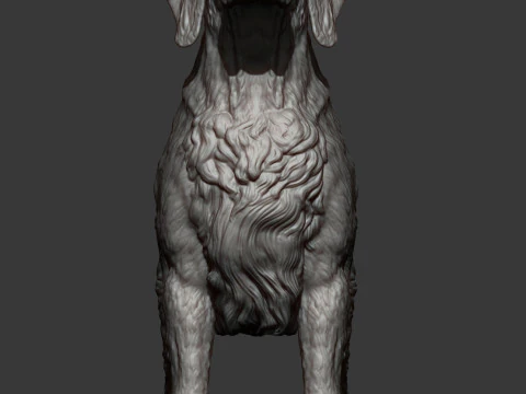 English Setter 3D Print Model