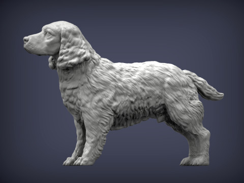 English Springer spaniel 3Dプリントモデル