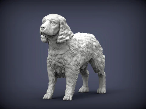 English Springer spaniel 3D Print Model