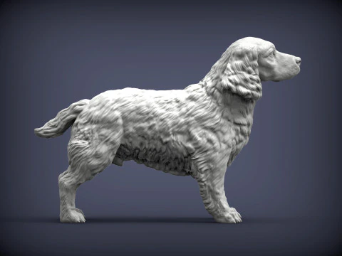 English Springer spaniel 3D Print Model