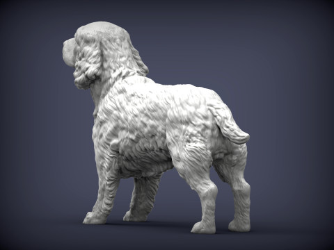 English Springer spaniel 3D Print Model