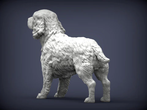 English Springer spaniel 3D Print Model