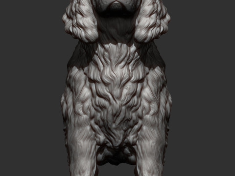 English Springer spaniel 3D Print Model