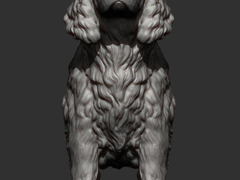 English Springer spaniel 3D Print Model