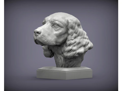 Springer spaniel inglese Modello di stampa 3D