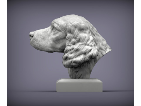 English Springer spaniel 3D Принт Модель