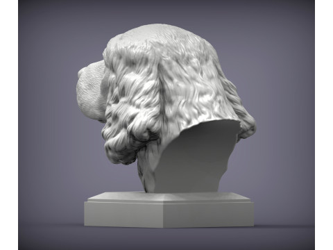 English Springer spaniel 3D Принт Модель